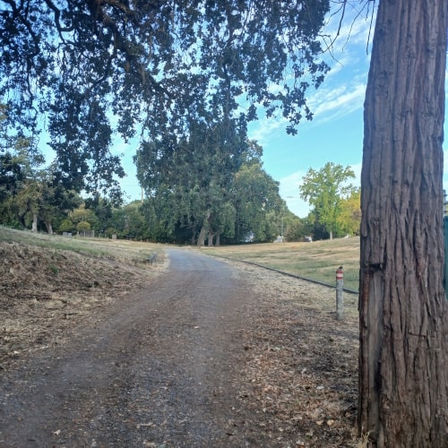 Turn right at the fork and park