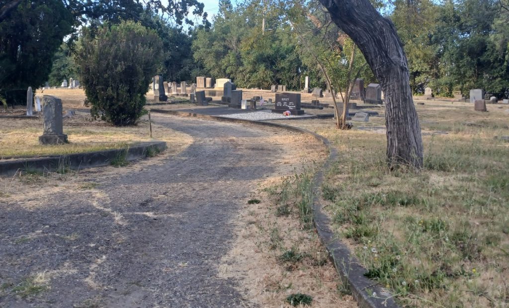 Path to the Robert L Ripley grave site